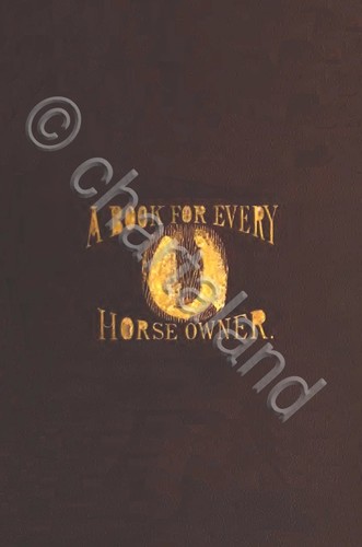 Mascalcia maniscalco horse - mascalcia,