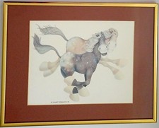 Sciolto Appaloosa di Stewart