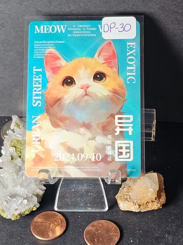 Meow world exotic - world, urban