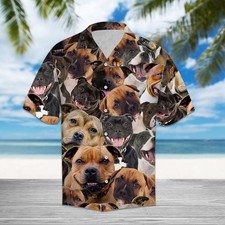 Staffordshire Bull Terrier