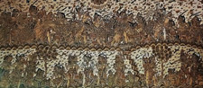 Batik Thai