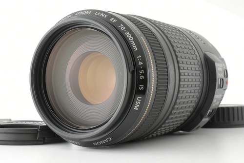 Canon 300mm 5 - 70-300mm, l