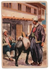 ALBANIE/ALBANIA - CASA TIPICA ALBANESE / ILLUSTRATORE LUBATTI