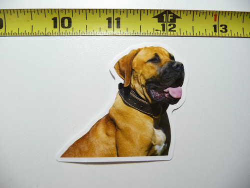 Collare bullmastiff divertente - collare,