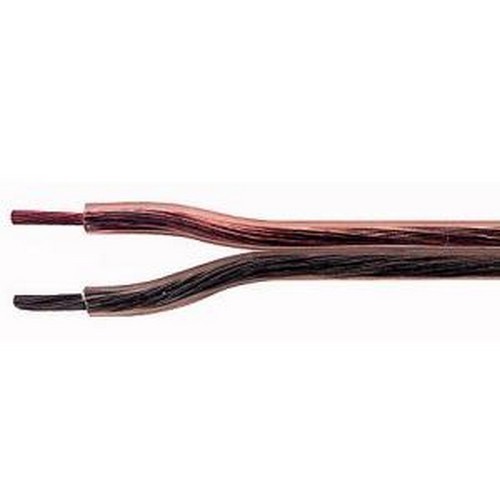 Piattina costa stretta - piattina,