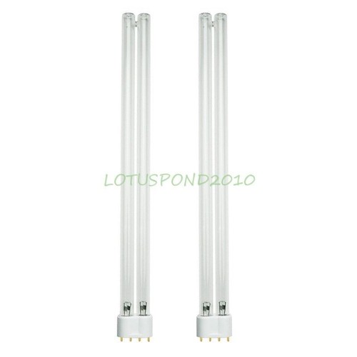 Due lampade lampadina - , 36