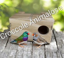 Nido Esotici Doppia Camera Cova Uccelli Diamantini Casetta Bengalini Nidi