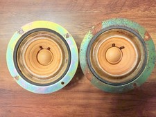 Coppia diffusori Coral Holy