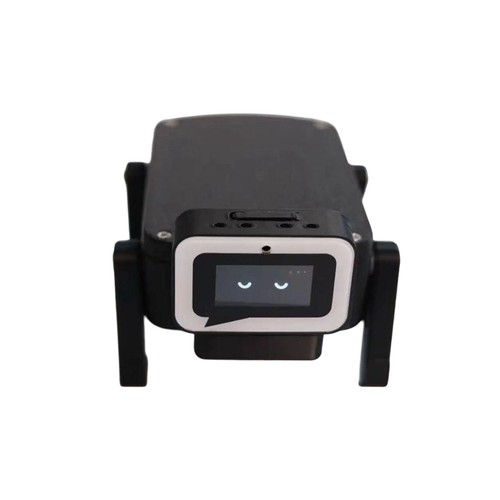 Robot pet - pet,