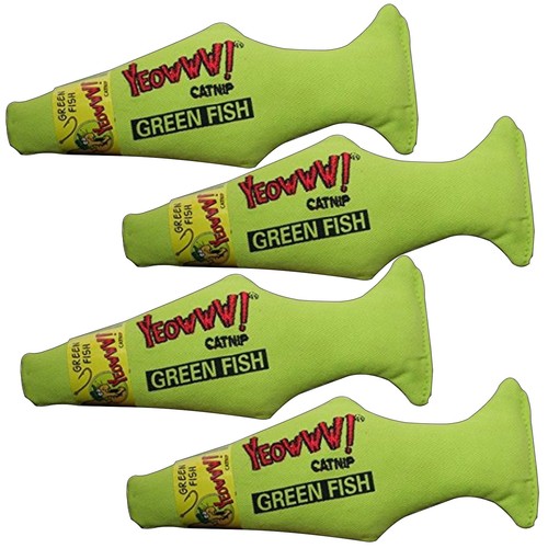 Yeowww erba gatta - erba, pesce