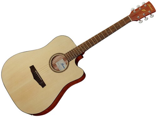 Ibanez pf10ce opn - ibanez, chitarra