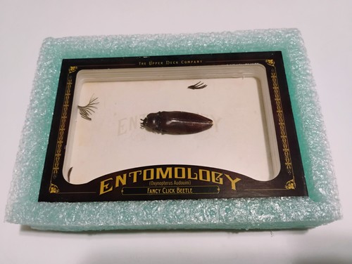 Carta scarabeo clic - , fantasia