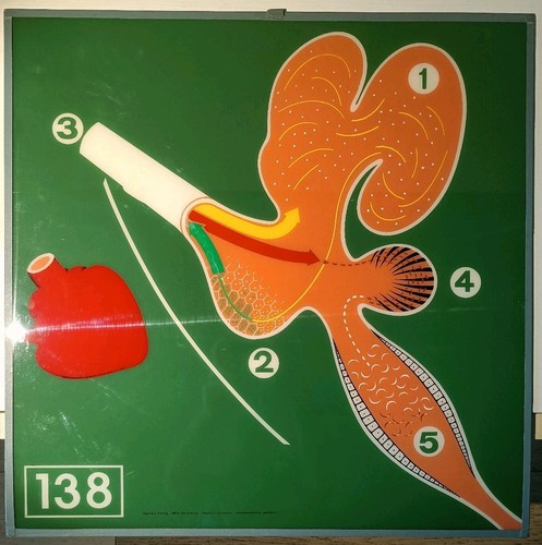 Tavola didattica optikart 138 - didattica,