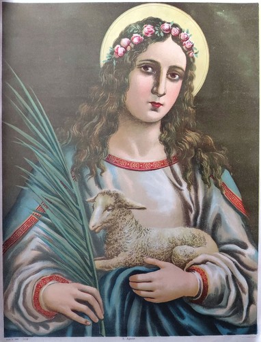 Sant agnese stampa sacra - stampa,