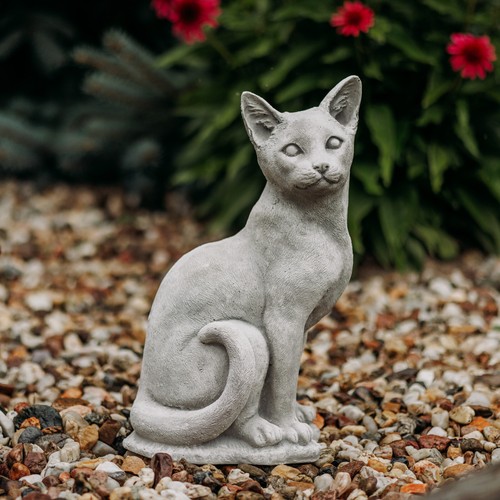 Gatto gattino - statua, in