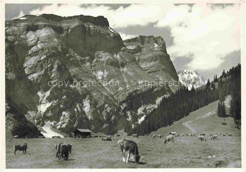 Bargis flims - flims, gr