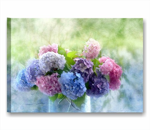 Ortensie vintage quadro - 2,