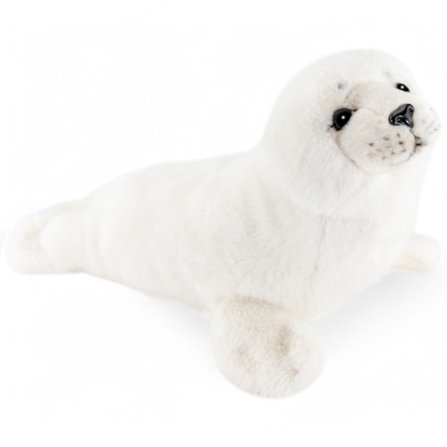 Carl dick foca - carl, foca,