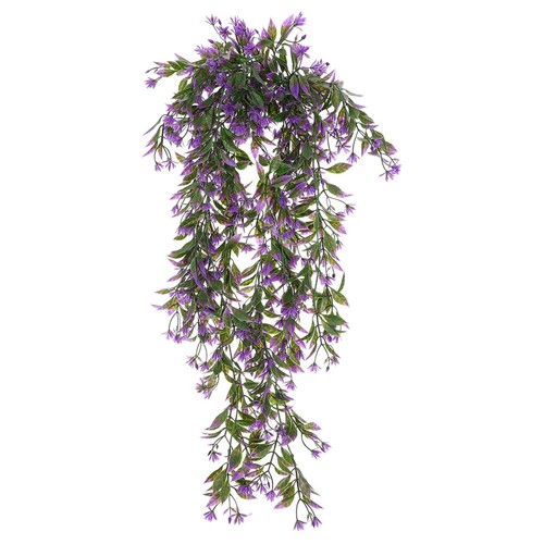 Pcs pianta cadente - 2,