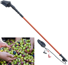 SCUOTITORE SCUOTIOLIVE