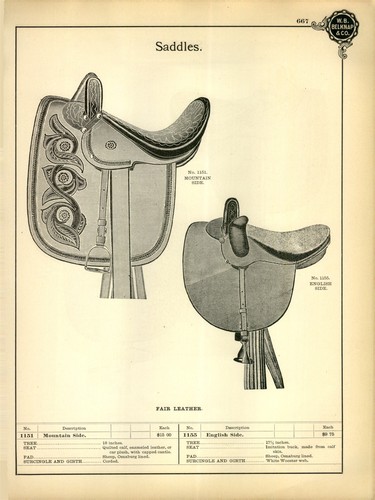1901 carta pubblicitaria - 1901,