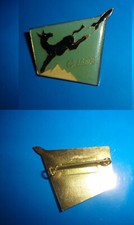 ESERCITO ALPINI Distintivo