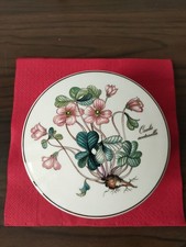 Villeroy Boch botanica scatola