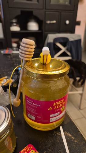 Miele acacia - miele,