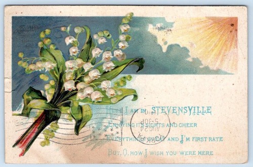 1910 eccomi stevensville - eccomi, a