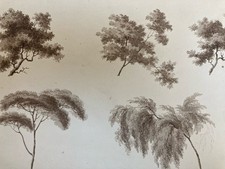Disegno XIX 1820 Inchiostro