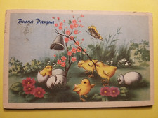Buona Pasqua - Pulcini.