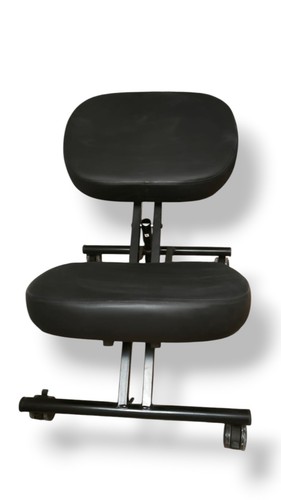 Sedia ergonomica - sedia,