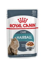 Adult Cat Food in Hair Control