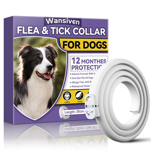 Collari antipulci per cani - collari,