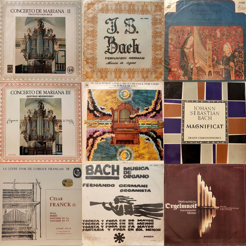 Pipe organ european - pipe,