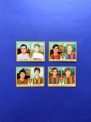 Edis ternana lotto - ,