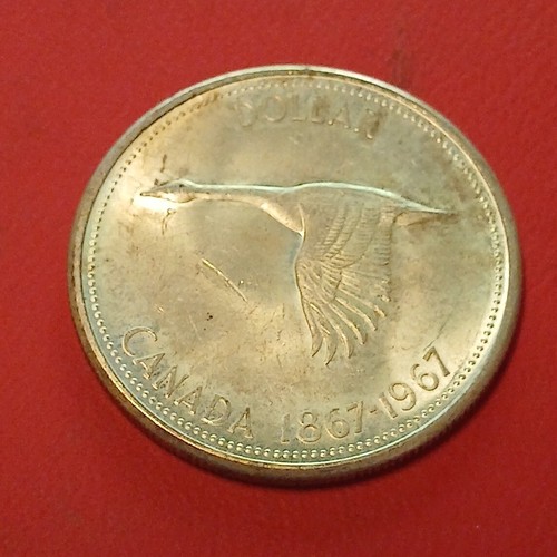 Canada moneta dollaro argento - canada,
