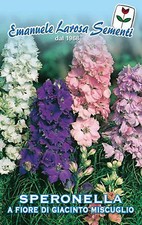 30 Semi/Seeds SPERONELLA in