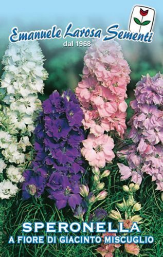 Semi seeds speronella - 30,