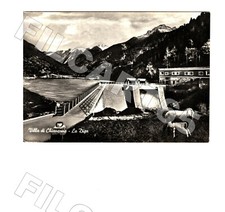 B7991 SONDRIO 1959 VILLA DI CHIAVENNA DIGA PECORA AGNELLO