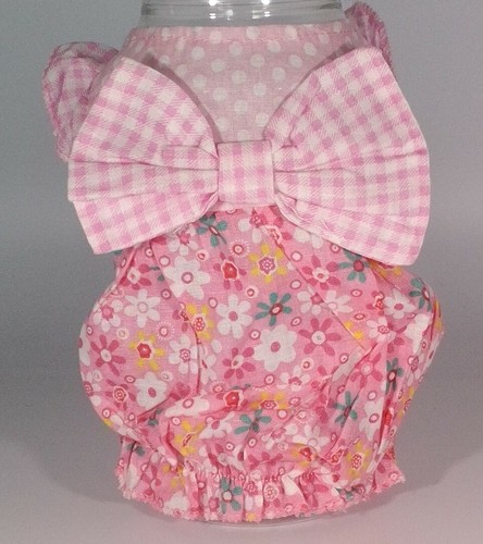 Media 38 cm chihuahua - /,