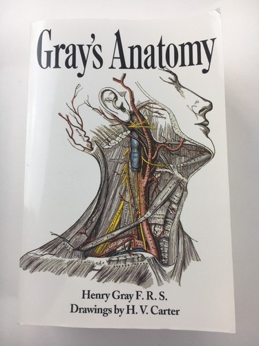 Gray anatomy the classic - gray's, :