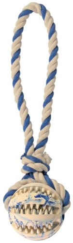 Trixie rugiada gioco con - da,