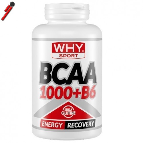 Why sport bcaa 1000 b6 - +,