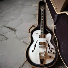 Höfner Thin President