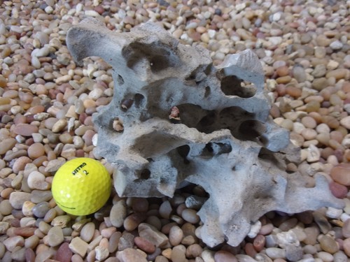 Texas holey rock - 03#, texas/tn