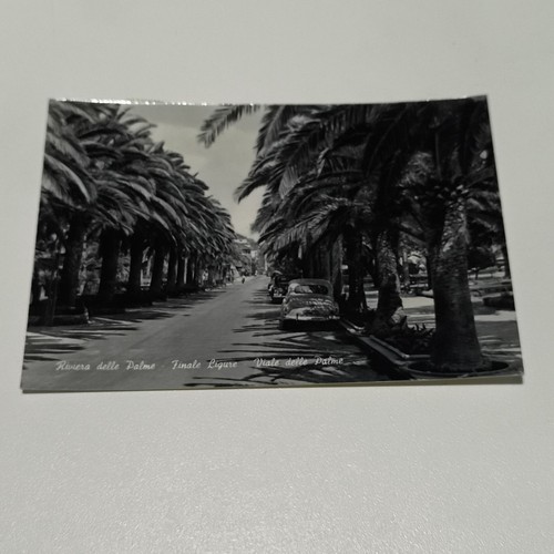 Riviera delle palme finale - riviera,