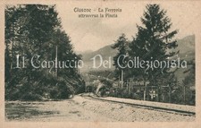 1925 CLUSONE La Ferrovia attraverso la Pineta TRENO Bergamo Cartolina 