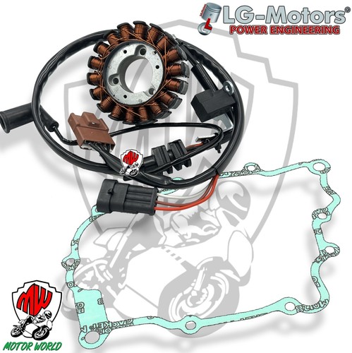 Statore magnete completo - magnete, con