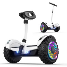 Electric 10 Inch Tire